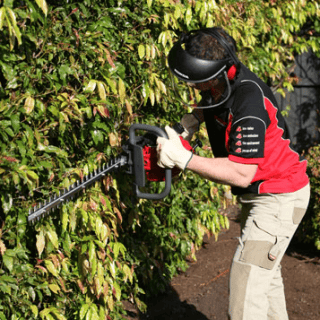 Honda Hedge Trimmers
