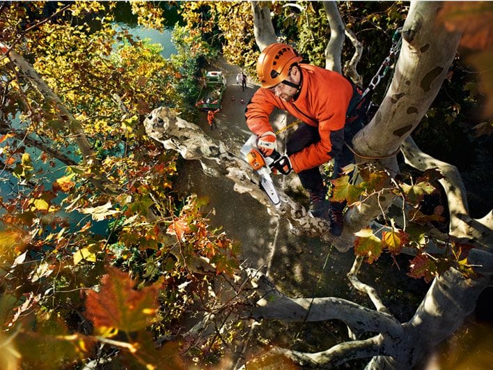 Legendary STIHL Cordless Chainsaws Lismore