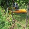 berti af/l mulcher for vineyard and orchard