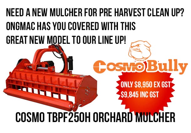 CosmosBullyTBPFHOrchardMulcherNowInStock